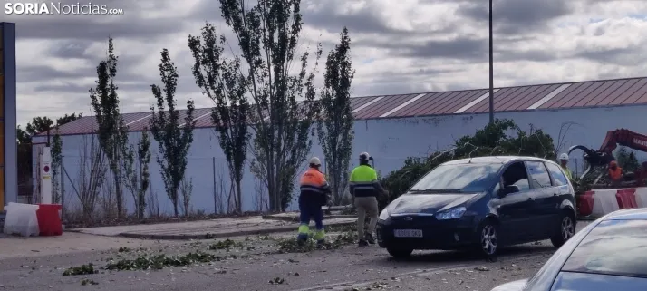 En im&aacute;genes, las obras de las traves&iacute;as comienzan con la tala de &aacute;rboles