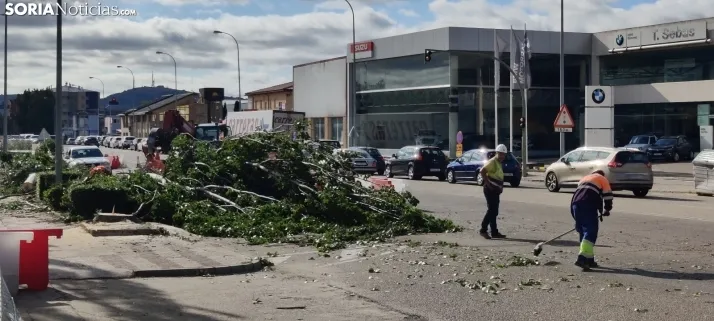 En im&aacute;genes, las obras de las traves&iacute;as comienzan con la tala de &aacute;rboles