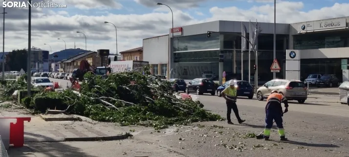 En im&aacute;genes, las obras de las traves&iacute;as comienzan con la tala de &aacute;rboles
