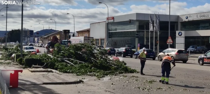 En im&aacute;genes, las obras de las traves&iacute;as comienzan con la tala de &aacute;rboles