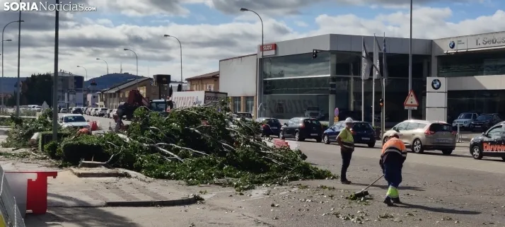 En im&aacute;genes, las obras de las traves&iacute;as comienzan con la tala de &aacute;rboles