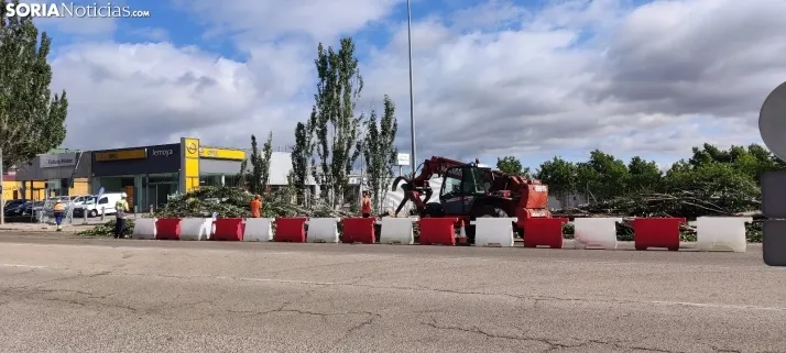 En im&aacute;genes, las obras de las traves&iacute;as comienzan con la tala de &aacute;rboles