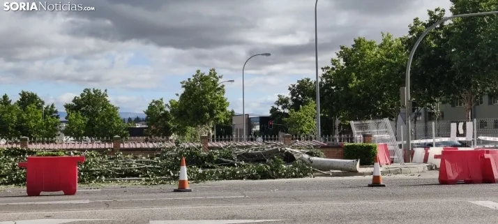En im&aacute;genes, las obras de las traves&iacute;as comienzan con la tala de &aacute;rboles