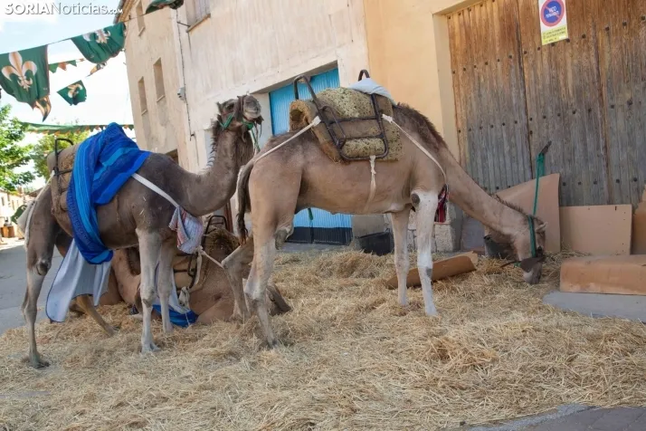 Mercado Medieval San Esteban 2023