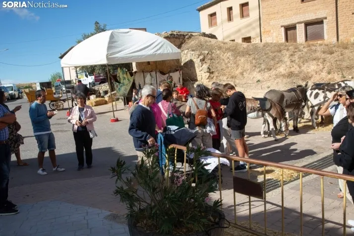Mercado Medieval San Esteban 2023