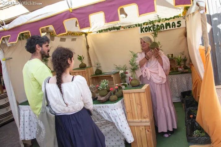 Mercado Medieval San Esteban 2023