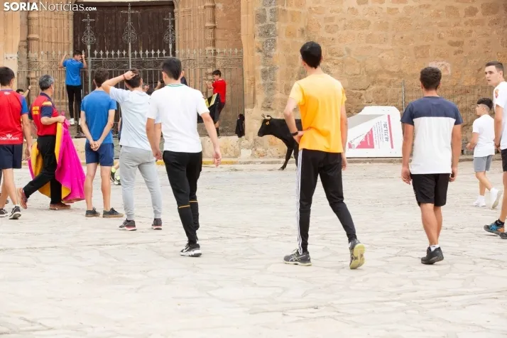 Encierro de reses bravas 2023 - Monteaguado