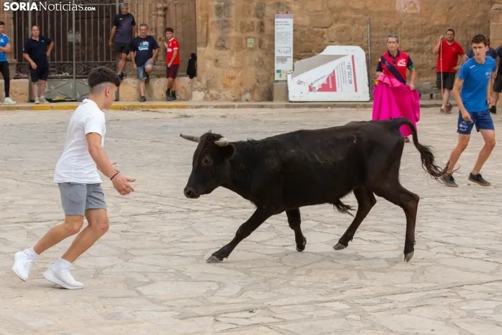Encierro de reses bravas 2023 - Monteaguado