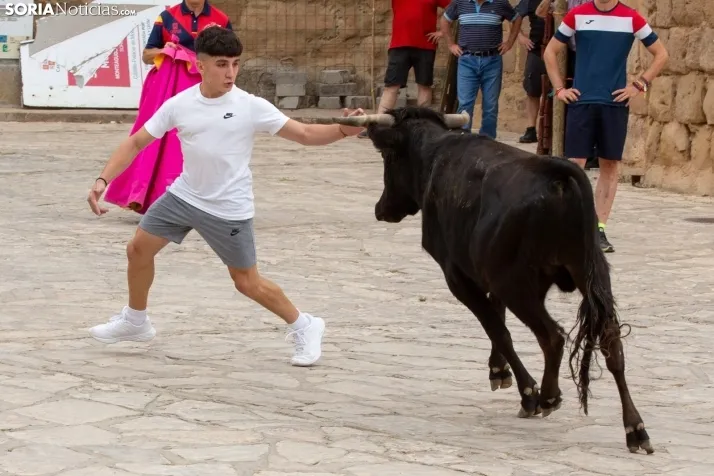 Encierro de reses bravas 2023 - Monteaguado
