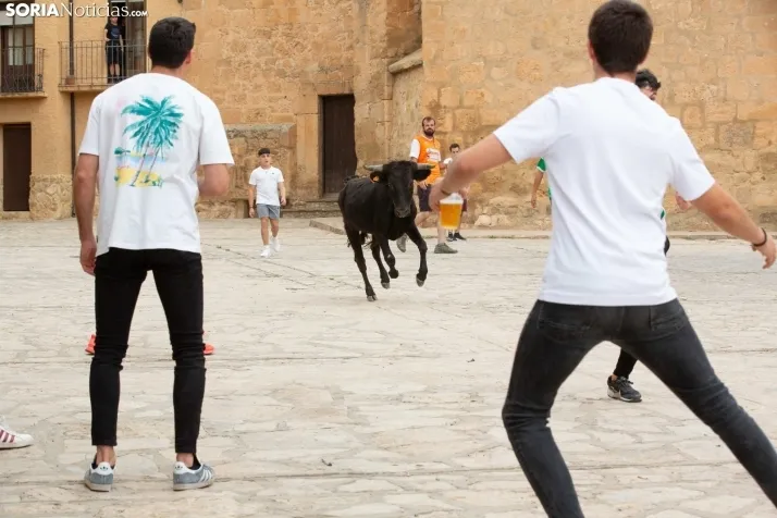 Encierro de reses bravas 2023 - Monteaguado