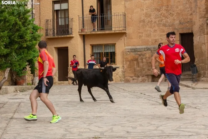 Encierro de reses bravas 2023 - Monteaguado
