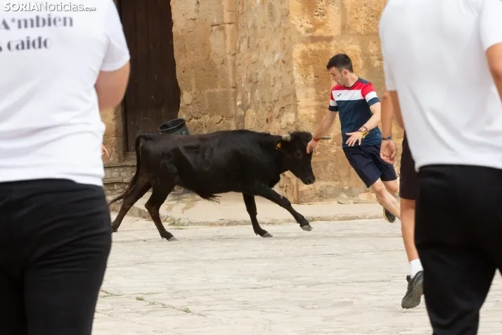 Encierro de reses bravas 2023 - Monteaguado