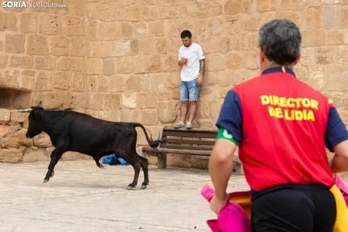 Encierro de reses bravas 2023 - Monteaguado