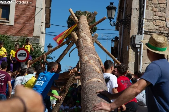 Vinuesa inicia sus fiestas con la Pingada del Mayo