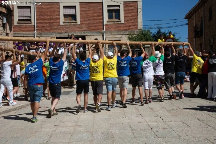 Vinuesa inicia sus fiestas con la Pingada del Mayo