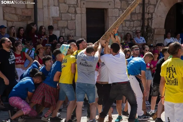 Vinuesa inicia sus fiestas con la Pingada del Mayo