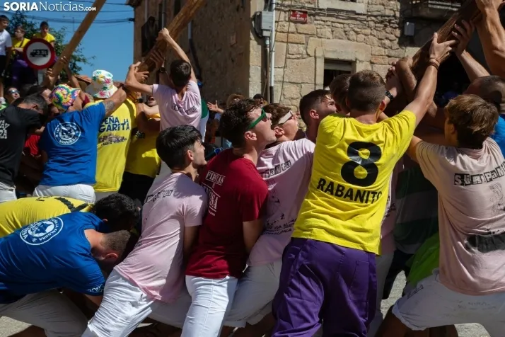 Vinuesa inicia sus fiestas con la Pingada del Mayo