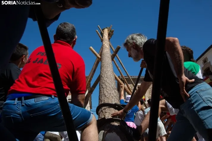 Vinuesa inicia sus fiestas con la Pingada del Mayo