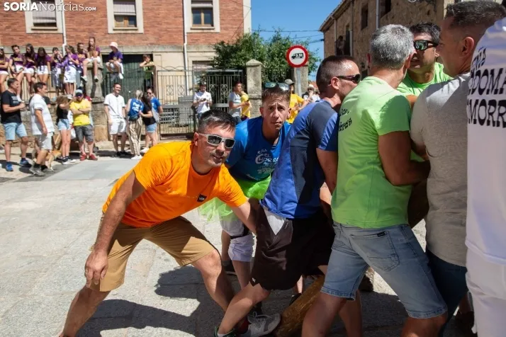 Vinuesa inicia sus fiestas con la Pingada del Mayo