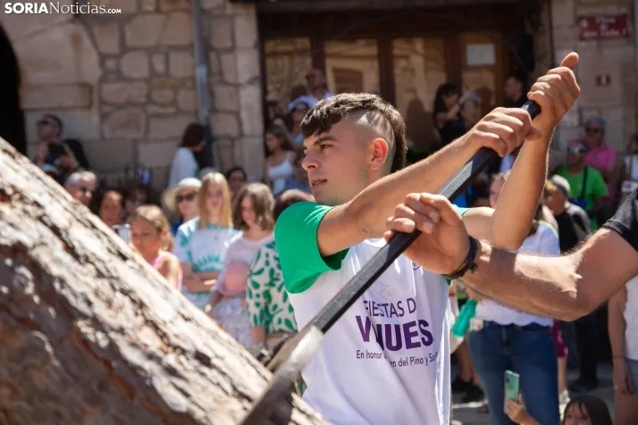 Vinuesa inicia sus fiestas con la Pingada del Mayo