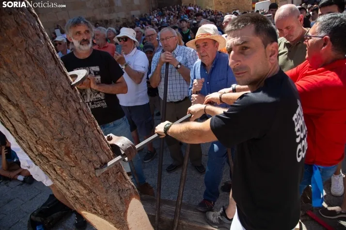 Vinuesa inicia sus fiestas con la Pingada del Mayo