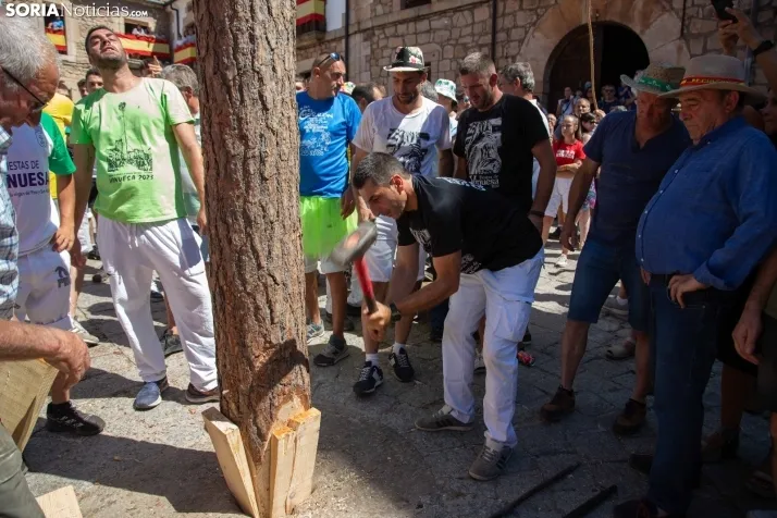 Vinuesa inicia sus fiestas con la Pingada del Mayo
