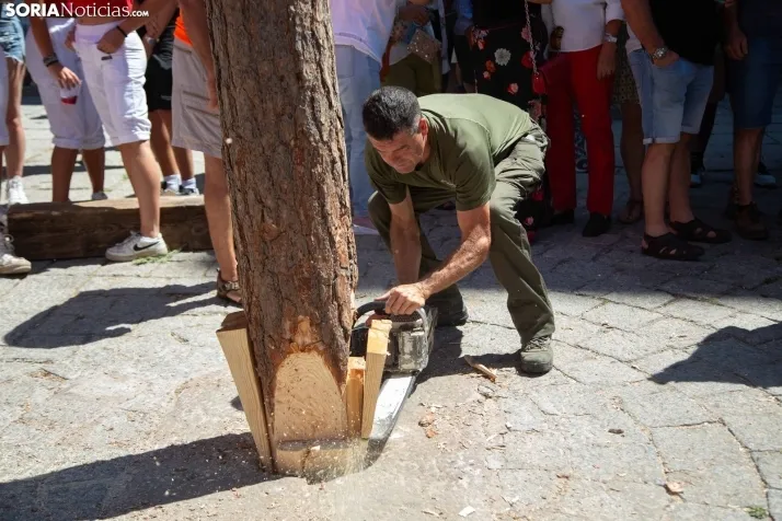 Vinuesa inicia sus fiestas con la Pingada del Mayo