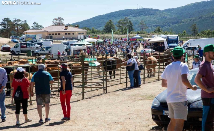 La feria ganadera de Covaleda, el 9 de septiembre