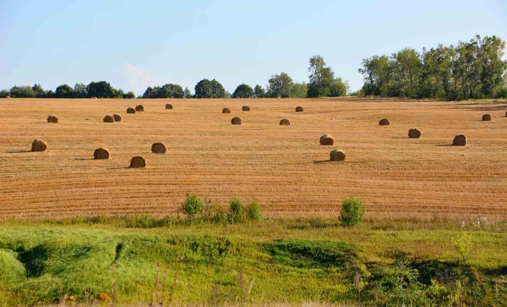 Castilla y León selecciona 44 Estrategias de Desarrollo Local Participativo en el marco de la PAC para 2023-2027