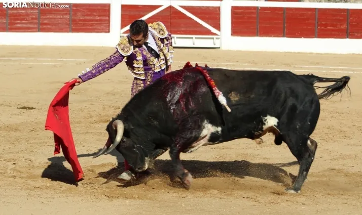 Corrida del 16 de agosto en El Burgo.