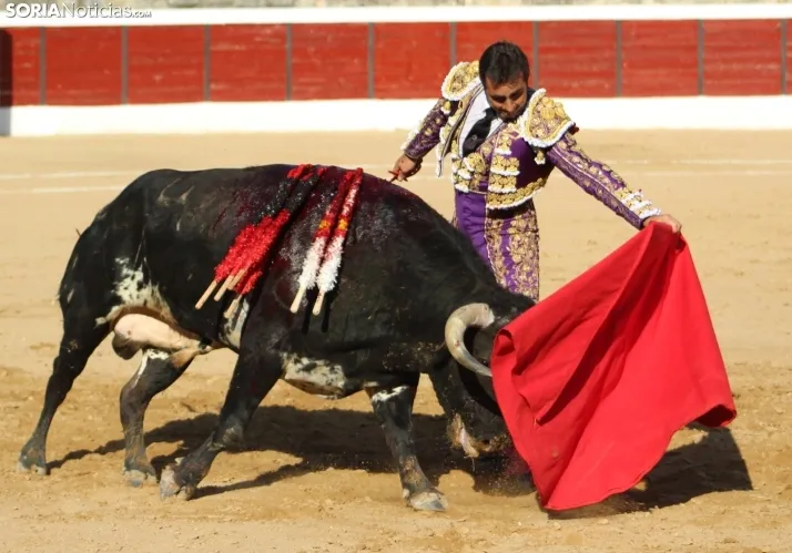 Corrida del 16 de agosto en El Burgo.