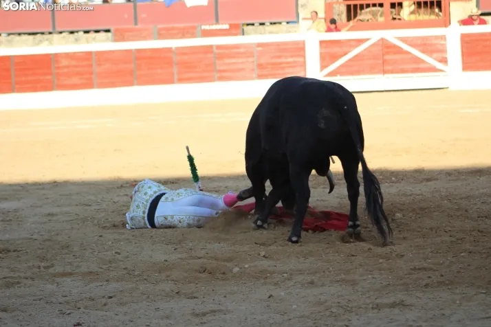 Corrida del 16 de agosto en El Burgo.