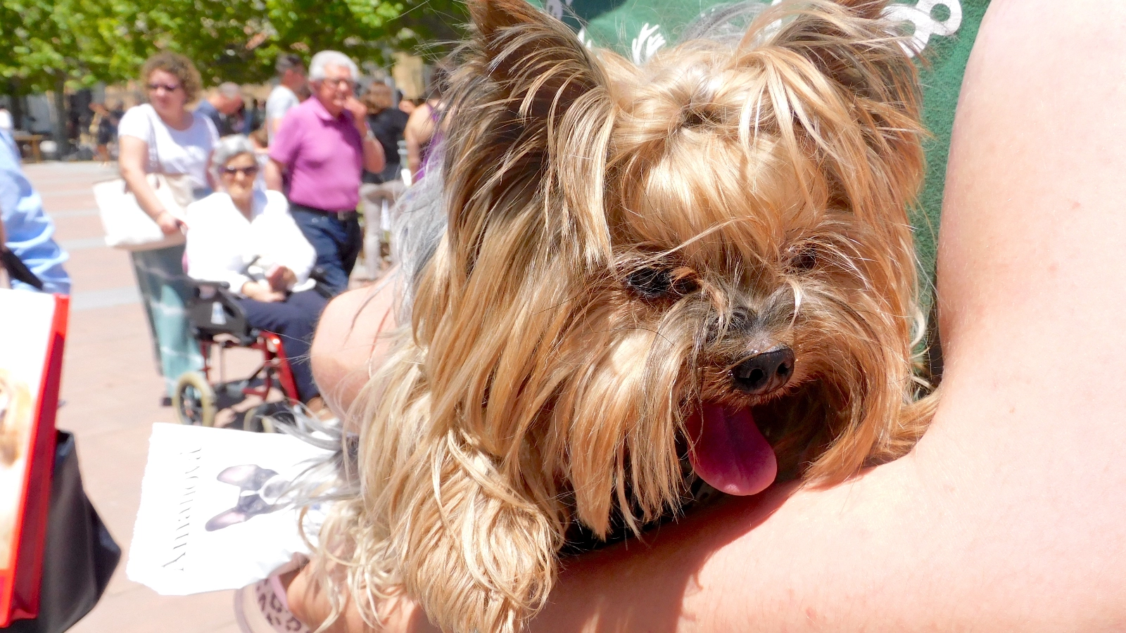 El retorno del calor: Soria superará los 30ºC este viernes