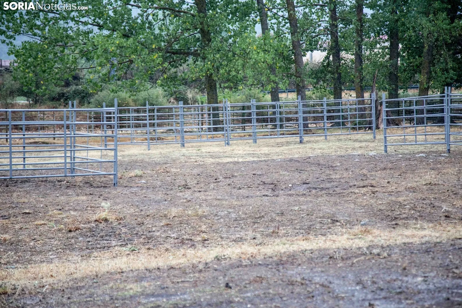 Una imagen del paraje del Regajo esta mañana de sábado. /María Ferrer