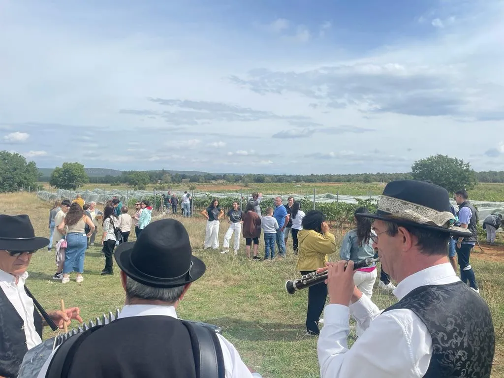 Foto 8 - Fotos: La tradici&oacute;n detr&aacute;s del vino