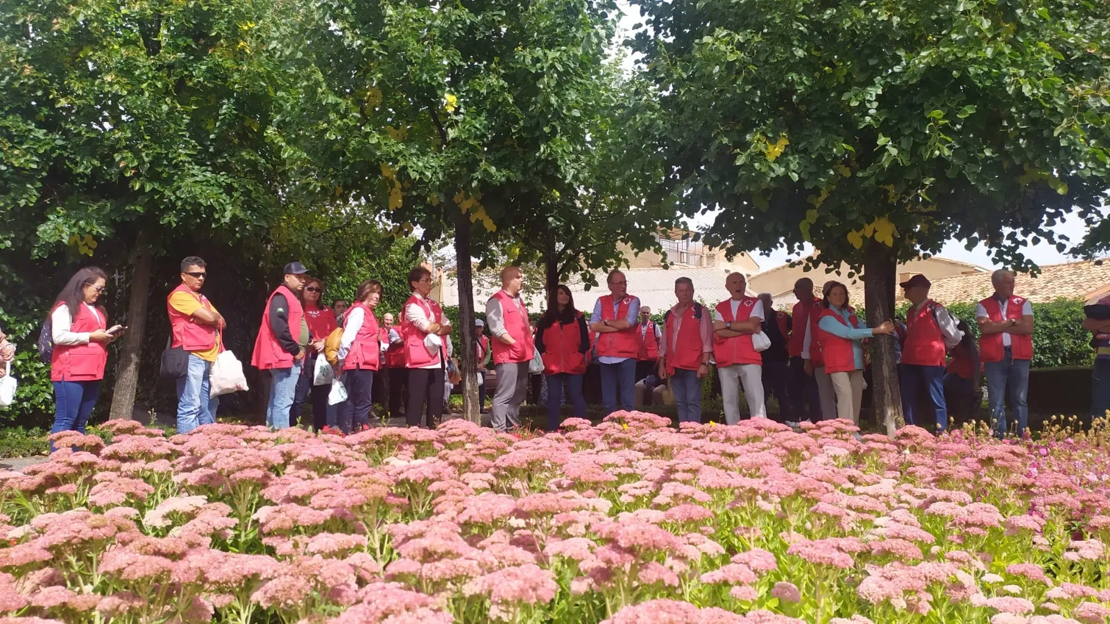 Voluntariado provincial de Cruz Roja