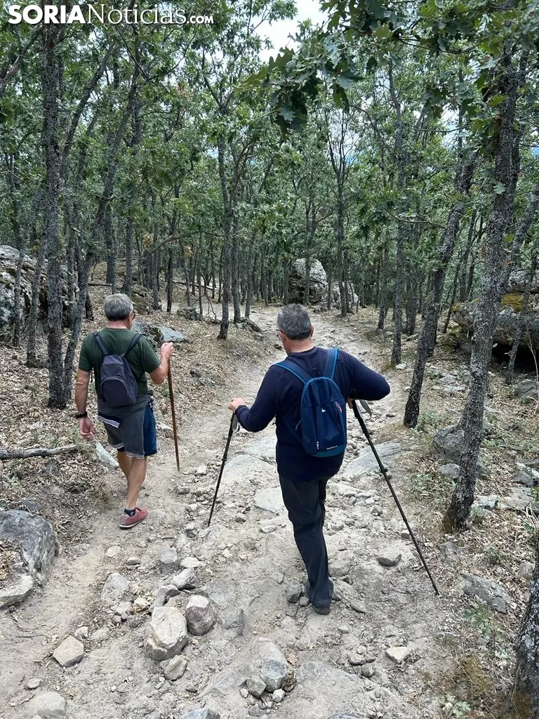 Foto 11 - Ruta: El Pico del &Aacute;guila y unas vistas de 360&deg;