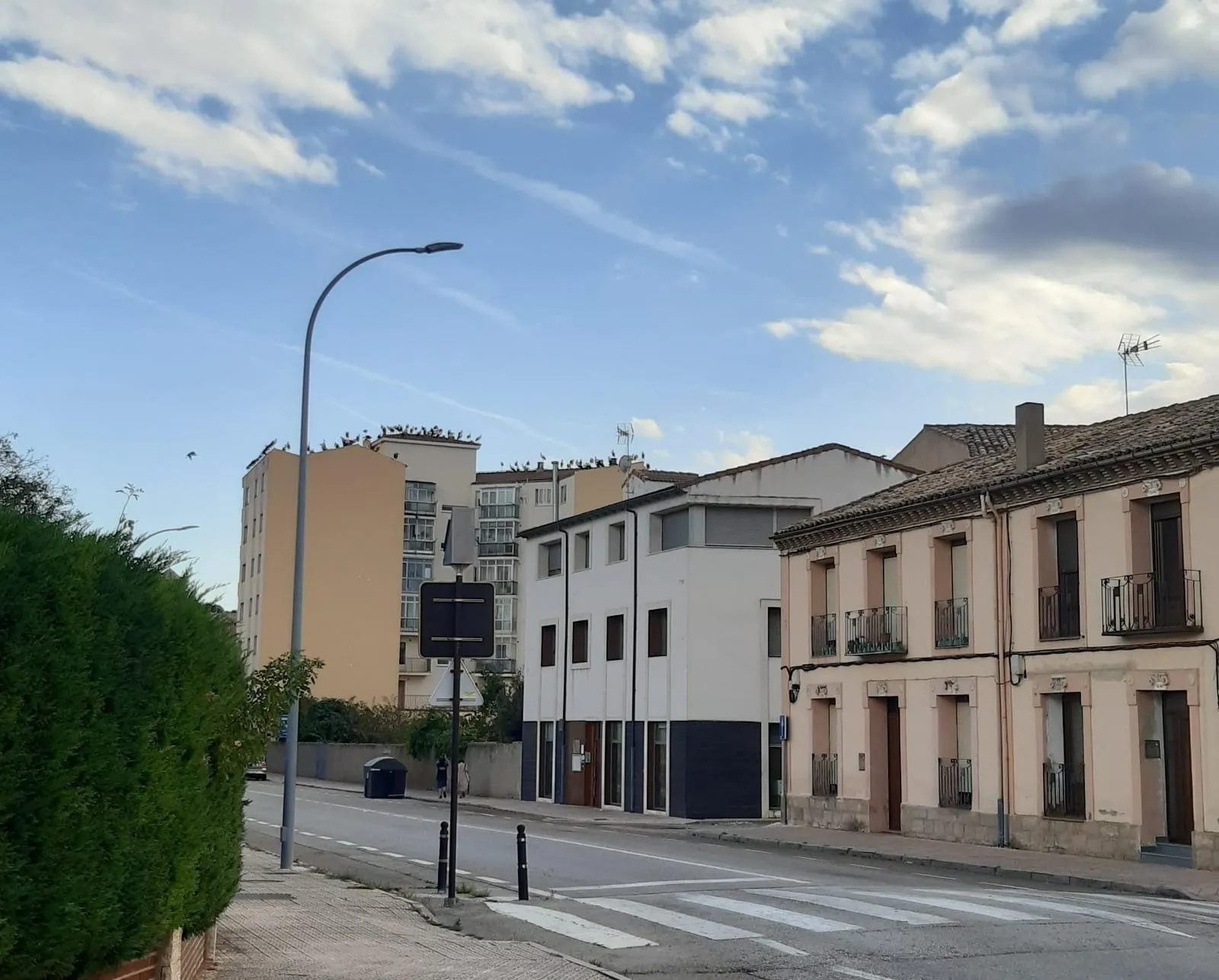 Foto 2 - Fotonoticia: Decenas de cig&uuml;e&ntilde;as llegan a Almaz&aacute;n para despedirse del Restaurante Mateos