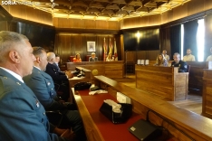 Foto 11 - Fotos: Entrega de medallas y condecoraciones a los polic&iacute;as locales de Soria