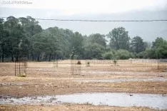 Una imagen del paraje del Regajo esta mañana de sábado. /María Ferrer