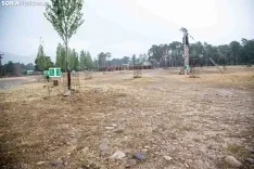 Una imagen del paraje del Regajo esta mañana de sábado. /María Ferrer