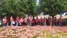 Voluntariado provincial de Cruz Roja