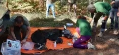 Una imagen de la intervención. /Jta.