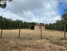 Foto 19 - Ruta: El Pico del &Aacute;guila y unas vistas de 360&deg;
