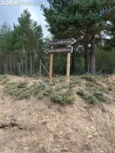 Foto 17 - Ruta: El Pico del &Aacute;guila y unas vistas de 360&deg;