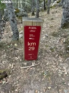 Foto 12 - Ruta: El Pico del &Aacute;guila y unas vistas de 360&deg;