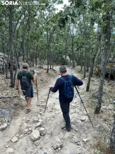 Foto 11 - Ruta: El Pico del &Aacute;guila y unas vistas de 360&deg;