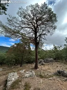 Foto 10 - Ruta: El Pico del &Aacute;guila y unas vistas de 360&deg;