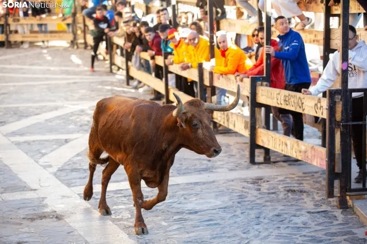 Encierro Ágreda 2023