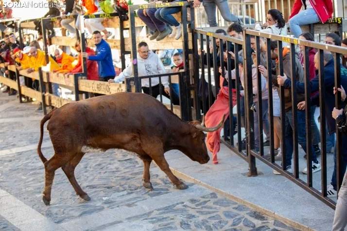 Encierro Ágreda 2023